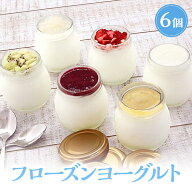 アイスクリーム 送料無料 ギフト フローズンヨーグルト 6個入り ヨーグルト ジェラート アイス 健康志向 …