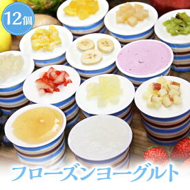 アイスギフト 送料無料 フローズンヨーグルト ジェラート アイスクリーム 12個入り ギフト セット カップアイス 詰め合わせ フルーツギフト アイスクリーム ギフト スイーツ パーティー アイス お祝い