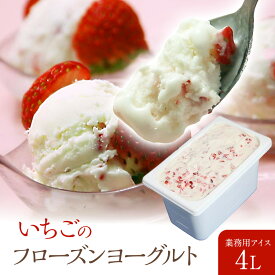 フローズンヨーグルト 業務用 苺 いちごヨーグルト 容量4L ヨーグルトアイス 苺のさっぱり味 宅配便 アイス 魁ジェラート ギフト イベント アイスクリーム 業務用