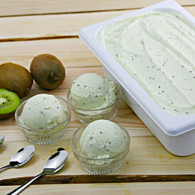 楽天市場 ジェラート ディッシャーの通販