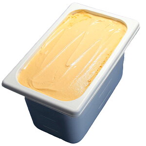 アイスクリーム 業務用 びわのジェラート 4L 業務用アイスクリーム 枇杷を使ったアイス 千葉県内房 家庭用 ギフト イベント 模擬店 容量4リットル デッシャーで40個分 宅配便 アイス 魁ジェ