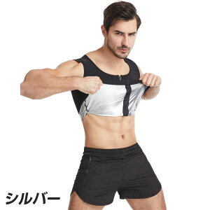 TEiX[c Y TEixXg X|[cEFA ʗp  Xgb` jO EH[LO ؃g  WMO {NVO Ci[   bR  _CGbg 