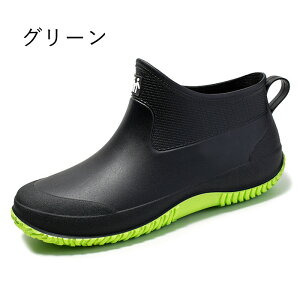 Cu[c CV[Y Y C ~  fB[X V[g JC AEghA Sh h ~J Ȃ EhgD y IV ₷ ₷ h ނ JWA 