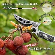 【★替刃付き】 高枝切りバサミ 伸縮 軽量 強力 切れ味抜群 太い枝 のこぎり付き 2m 3m 4m 5m 高枝切り …