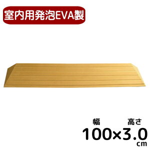 piX[v uȒPݒu ^b`X[vy100cm×3D0cmzAEVA ԂΉ TS100-30 { iVGCeNmjyԕiszi Ԃ Ԉ֎q  p i