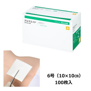 npzpbh@f}GCh@Derma Aid 6@11984@10cm×10cm@100@100 ŒtBgp@iAPAj