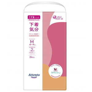 ypc^CvzAeg ^pcC GKgsNx[W  M24/L22@wl fB[Xp@ (剤)