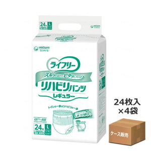 yP[X̔zyނEpc^CvzCt[ nrpcM[ LTCY 24×4 z300cc {݁Ea@p (jE`[)