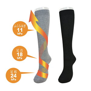 yjpF21-27cmz@\C ͂炭 si\bNX F792-975 @ubN/O[ ̕݌y@ʈË@ { i{j