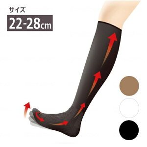 yjpzނݑ΍􂭂 x[W@@@ 22-28cm (R[|[Vp[X^[)@\bNX jZbNX