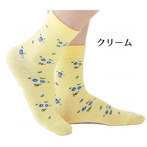 ywlp zS薼OC p x_[/N[ 22`25cm ~ߕt {iZ@jfB[X \bNX Lт ԕ