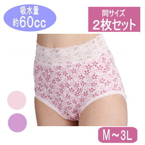 wlpփV[c ̎փpc 2g p[vEsN e1 M/L/LL/3LTCY z60cc AjAzL (vX[hjyzyhV̓z
