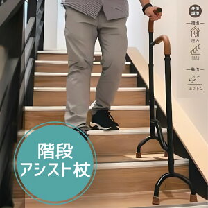 _N[|zz^KiAVXg@Stair Assist Cane@SAC@4_ XebL ړ肷 ω׏d136kg i ݑ L@肷@]|h~@ ⏕@x T|[g@XebL iv~A