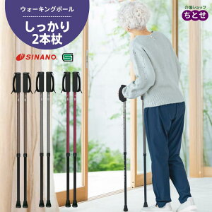 EH[LO|[ 2{@(2{g)@O[/uE/{h[ SHINANO { SG}[N sP Lk ߉\ jp Ep y A~ nrp @iVimjy