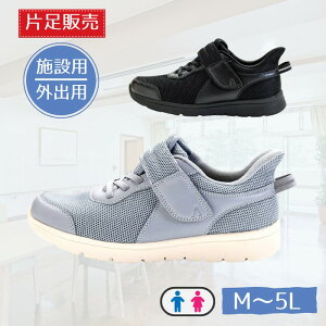 _V^yБ̔EjpFM-5Lz  CtXebv 1606 Б̔ 3E jp ubN/O[ EOp@Y yz