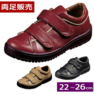 ywlpF22-26cmz ΉV[Y@VXebv05 3E @̔@ubN/x[W/C@ {i[X^[jyz