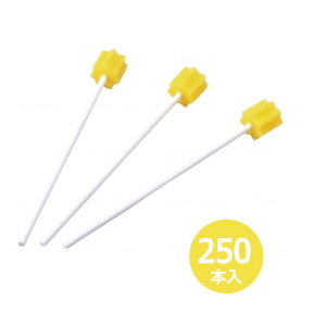 oPAX|W@n~Obh250{@([JiԁFMHG250 ) e@@^`yz