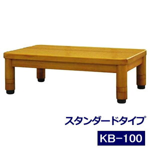_N[|zz^i X^_[h^Cv KB-100 ~fBAI[N 46cm VR iL^jyzyhV̓z
