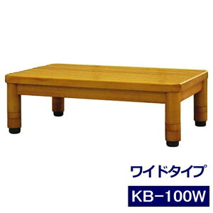 _N[|zz^i Ch^Cv KB-100W ~fBAI[N 60cm VR iL^jyzyhV̓z