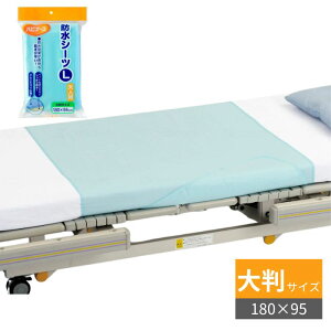 yhV[cF^Cvznri[X hV[c lpELi唻TCYj 180×95cm NуpCf u[@ƒp hH (sW^q)