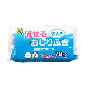 _N[|zz^DN lp邨ӂ 70 18×20cm mAR[  ێ sDz t^V[tpbN { iꎆHjyhV̓z