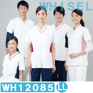 yNEWzjpXNu@WH12085@LLTCY@zCZ(WHISEL)@dyŌpXNuEŌXNuEi[XpiEi[XpXNuEi[XXNuE×pXNuE@pXN