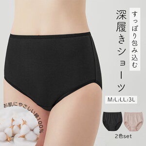 [֑[fB[XV[c Rbg 100 2Zbg M/L/LL/3L x[W ubN x[VbNJ[ ҏ[ Kۂ n X[X҂ ₳ X