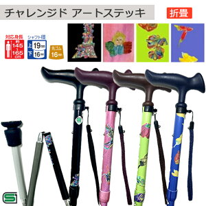 tWz[ `Wh A[gXebL T/S c  ܏ ^[/ƓVg/؃V[Y/Ƃ炵y j p Y fB[X  킢 Mtg v[gz