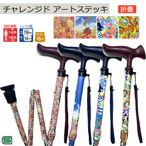 y12/1 ܂Ń|Cg10{ztWz[ `Wh A[gXebL P/A Paralym Art ܏y j p Y fB[X  킢 Mtg v[gzÿׁAsz