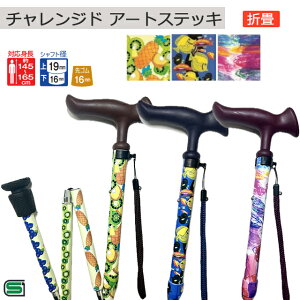 tWz[ `Wh A[gXebL W/H Wonder heart ܏ y j p Y fB[X  킢 Mtg v[gzÿׁAsz