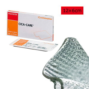 [֑VJPA@VRWFV[g@6CM*12CM@66250704@S&Ny畆یESV[gEVRe[vEĎgz