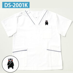 [֑܃jpXNu DS2001K }zCg SS`3L fB[tFCYyXibvXNu   jtH[  킢 lCr[  pCsO 