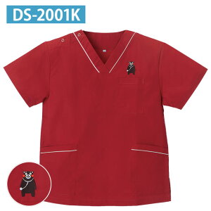 [֑܃jpXNu DS2001K }i[C SS`3L fB[tFCYyXibvXNu   jtH[  킢  bh o[KfB 