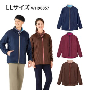 jpAE^[(t[X)@WH90057@LLTCY@zCZ(WHISEL)@dyhEꎞE앞EƕEt@Xi[EYEfB[XEjZbNXz