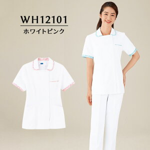 `jbN@WH12101@zCgsN@zCZ(WHISEL)@dy  킢 zCg  Ō    ݕtz