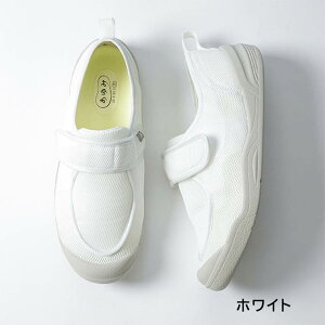 YƁu݃V[YvzXs^V[Y@3E(2510) zCg@y R y { @ a@ C pV[Y nrV[Yz