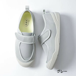 YƁu݃V[YvzXs^V[Y@3E(2510) O[@y R y { @ a@ C pV[Y nrV[Yz