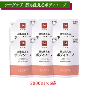 yP[X̔zJEuh ciOPA 􂦂{fB\[v lߑւp@S₷炮΂̍ 2000ml×6 ΌiЁy܂Ƃߔ eʃpE` {fB[\[v  Ό zy