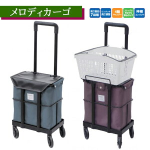 fBJ[S 쏊yJS悹 É LX^[360x Xgbp[t  N  Oo ו ܂肽݉ y  RpNg   Vbs