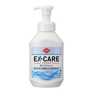 �\�t�e�B EX-CARE �A�n���h�E�H�b�V�� 500ml
