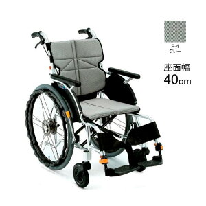 Ԉ֎q y ܂肽 GA[^C lNXgRA WX^_[h NEXT-11B  Ԉ֎q ԃCX C^C i쏊