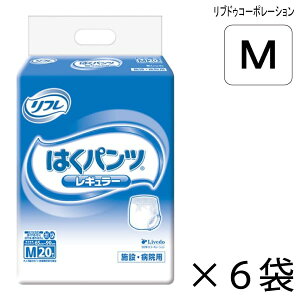 yP[X̔z t ͂pc M[ MTCY 20×6 4z yzy|Cg10{z lpނ pނ {݁Ea@p uhDR[|[V
