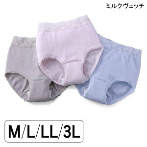 ~NFb` 100[Xt\tgK[[փV[c 3Fg(31g)(M/L/LL/3L)(z45cc)yzy|Cg10{z փpc ARpc p wlp V[c