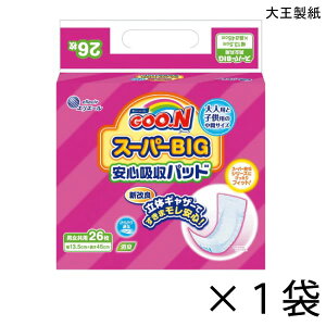 O[ X[p[BIG Szpbh 26×1 240ccz y|Cg10{z 剤 GG[ lp Ic AƂpbh 