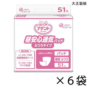 yP[X̔zAeg SʋCpbh ӂ^Cv 51×6 3z yzy|Cg10{z 剤 GG[ lp Ic AƂpbh 