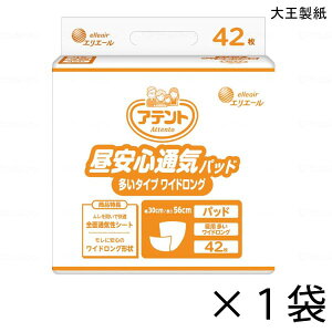 Aeg SʋCpbh ^Cv ChO 42×1 3z y|Cg10{z 剤 GG[ lp Ic AƂpbh 