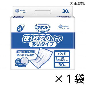 Aeg SPA 1Spbh ^Cv 30×3 6z y|Cg10{z 剤 GG[ lp Ic AƂpbh 
