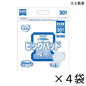 yP[X̔z GA΂ rbOpbh jp 30×4 6z yzy|Cg10{z J~ GA pނ AƂpbh