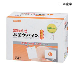 ��{�Y�� �ŋۃP�[�p�C��(�����p)(L�T�C�Y)(24����)�y�|�C���g10�{�z