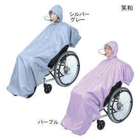 楽天市場 紫 カラー カラーシルバー 医薬品 コンタクト 介護 の通販